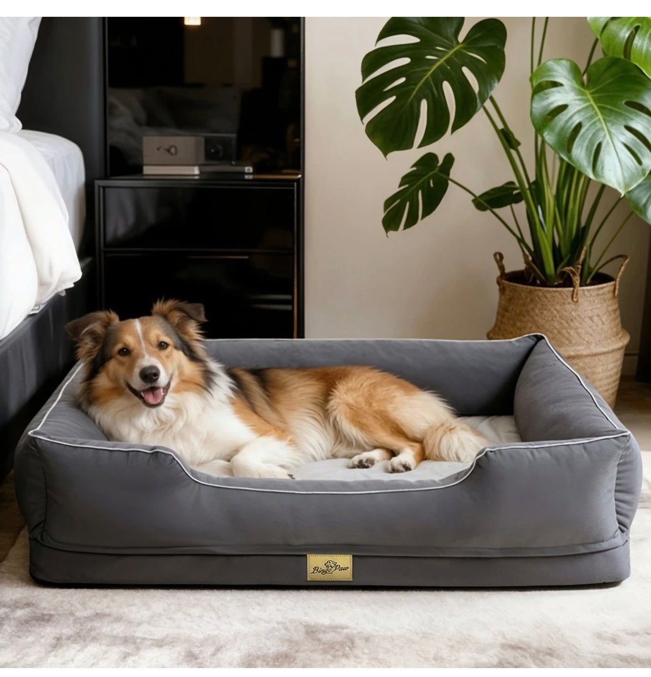 Orthopaedic Dog Bed