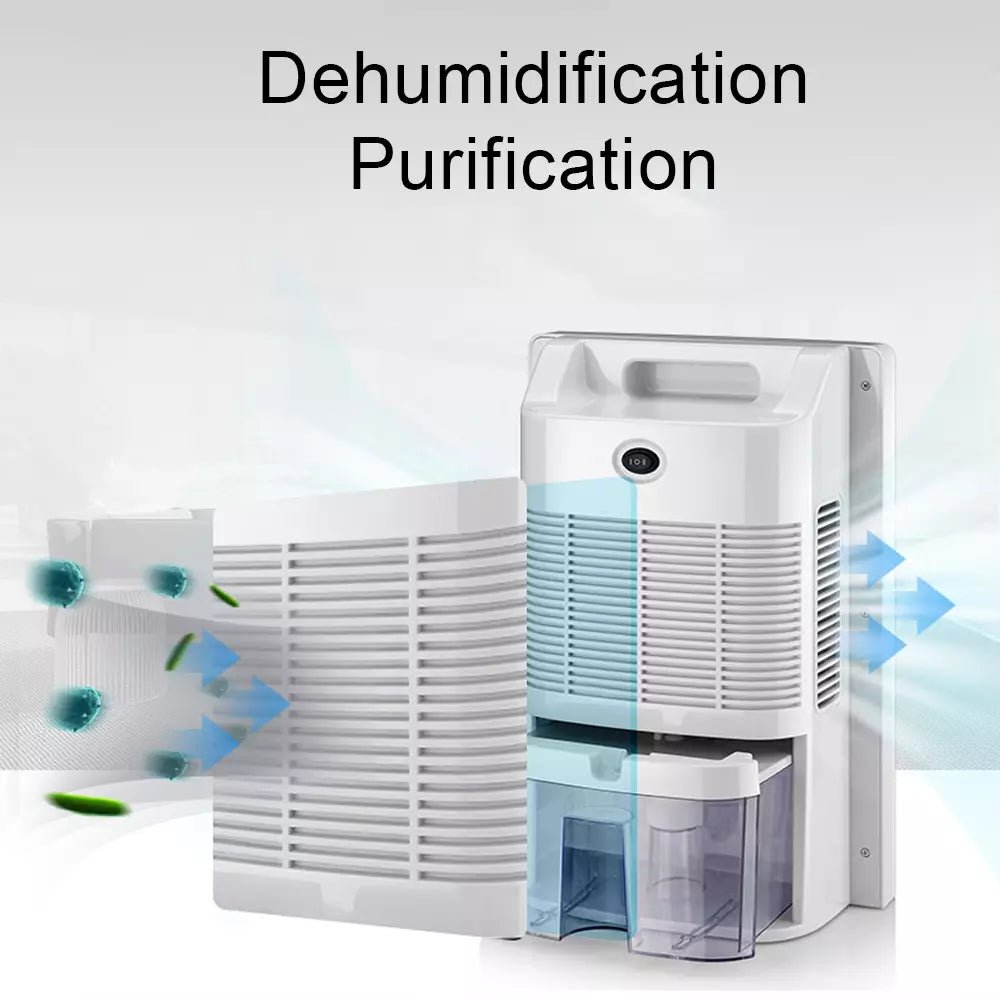 Dehumidifier BioHealing®