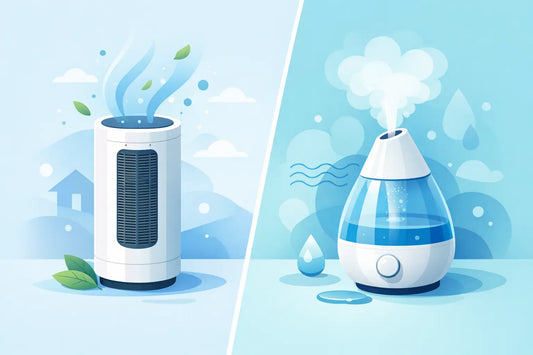 Air Purifier vs Humidifier: Which One?