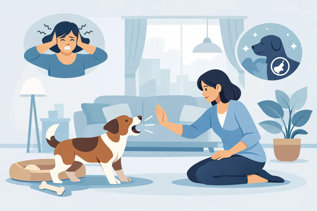 How to Stop Pet Barking Indoors Fast
