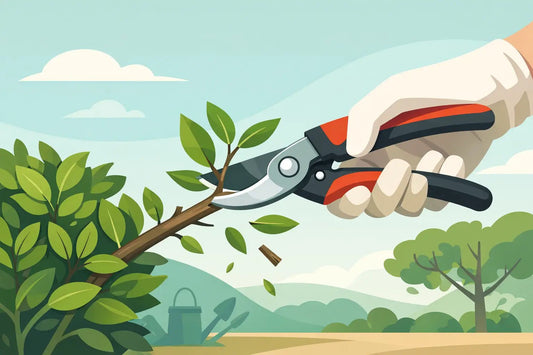 How to Use Pruning Shears Properly - aussie-deals4u